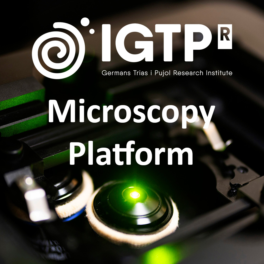IGTP Microscopy Platform