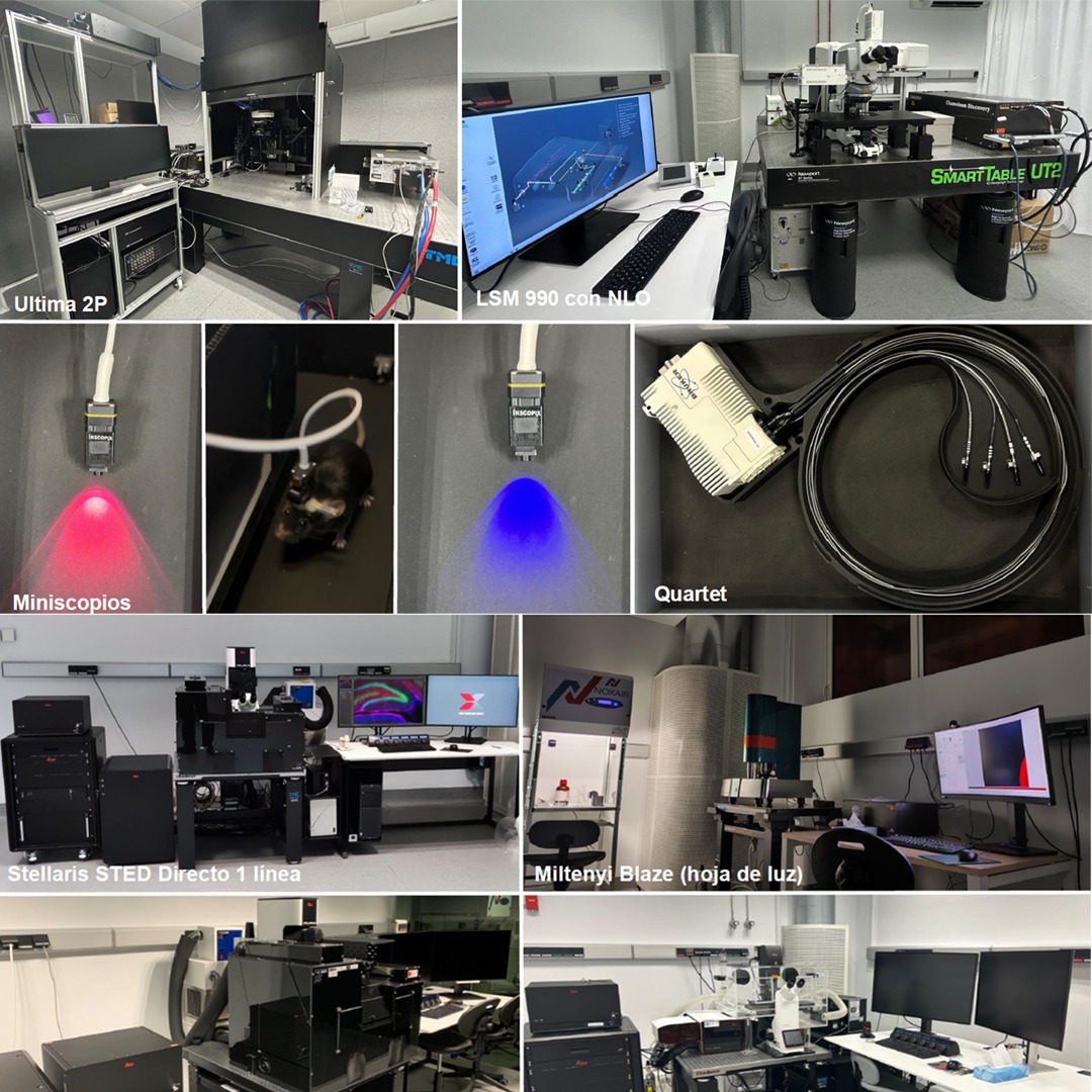 Microscopy and Advance Systems for Technological Exploration and Research
